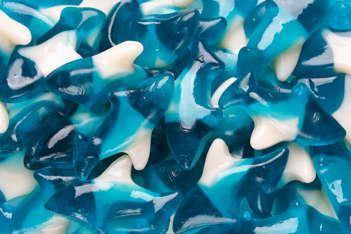 BLUE GUMMI SHARKS