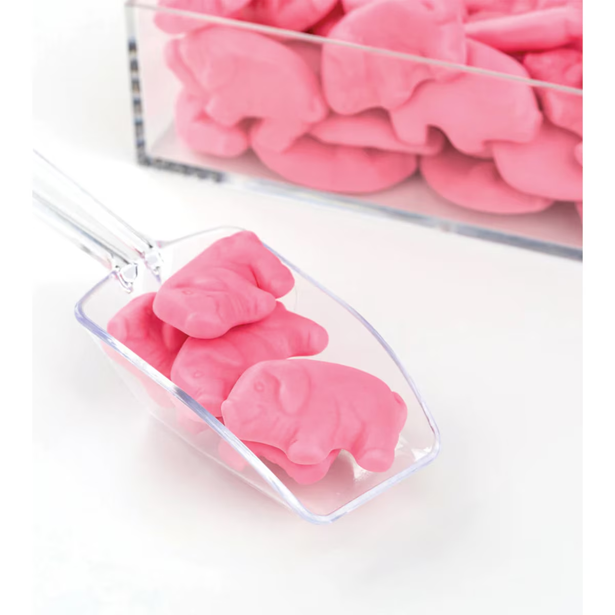 GUMMI PIGS